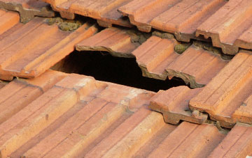 roof repair Nortons Wood, Somerset